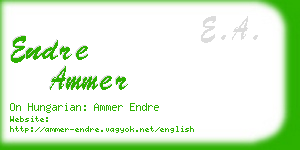 endre ammer business card